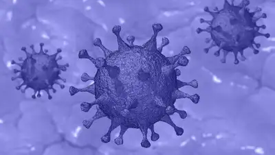 Pixabay, фото - Новости Zakon.kz от 24.04.2020 15:13