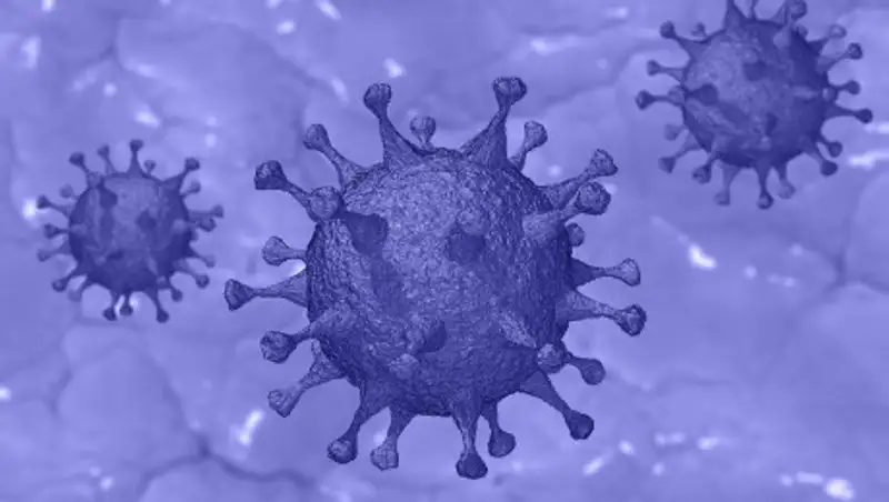 Угрозу биологического оружия увидели в коронавирусе