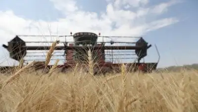 Zakon.kz/Павел Михеев, фото - Новости Zakon.kz от 04.11.2021 19:03