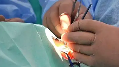 botkinmoscow, фото - Новости Zakon.kz от 09.02.2018 22:13