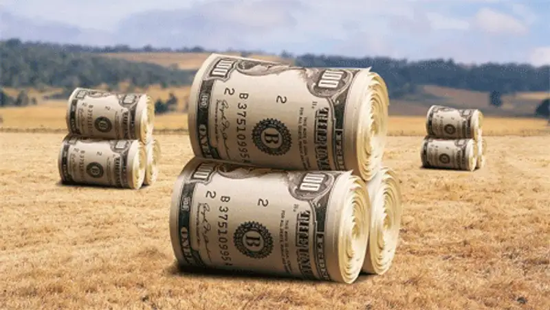 В СКО наибольший объем инвестиций направлен в сельское хозяйство, фото - Новости Zakon.kz от 26.10.2013 17:03