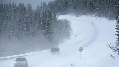 Zakon.kz, фото - Новости Zakon.kz от 08.02.2016 14:10