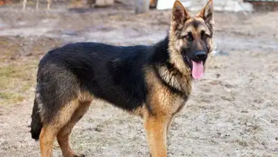 Zakon.kz, фото - Новости Zakon.kz от 12.10.2016 23:31