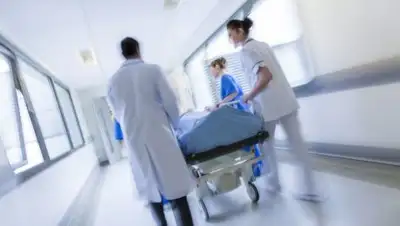 topsante.com, фото - Новости Zakon.kz от 19.03.2018 18:19