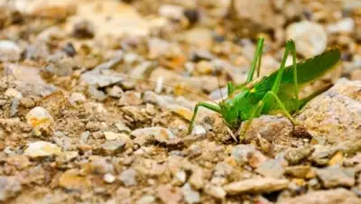 Zakon.kz, фото - Новости Zakon.kz от 17.06.2015 05:08