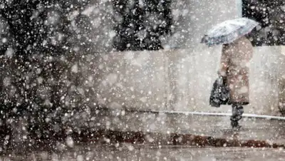 литер, фото - Новости Zakon.kz от 09.02.2020 06:08