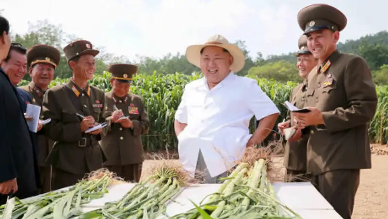 Более 10 млн граждан КНДР страдают от нехватки продовольствия