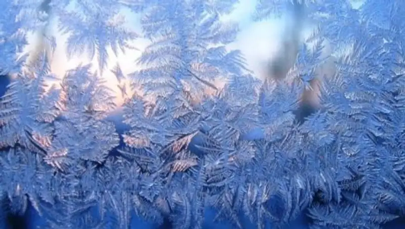 Проституток выгнали голыми на мороз