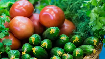 vtomske.ru, фото - Новости Zakon.kz от 05.03.2019 10:42