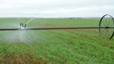 Zakon.kz, фото - Новости Zakon.kz от 17.02.2017 22:00