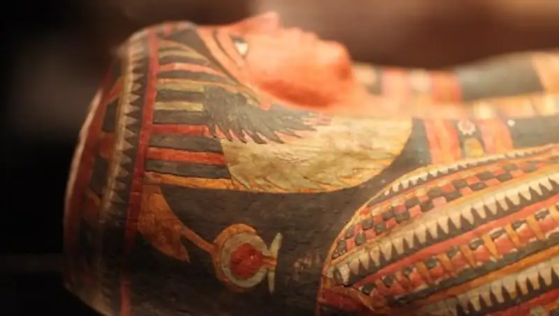 В Египте нашли гробницу с полусотней мумий