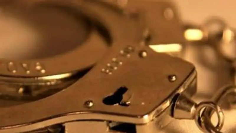 Акмолинские полицейские раскрыли разбойное нападение на ТОО