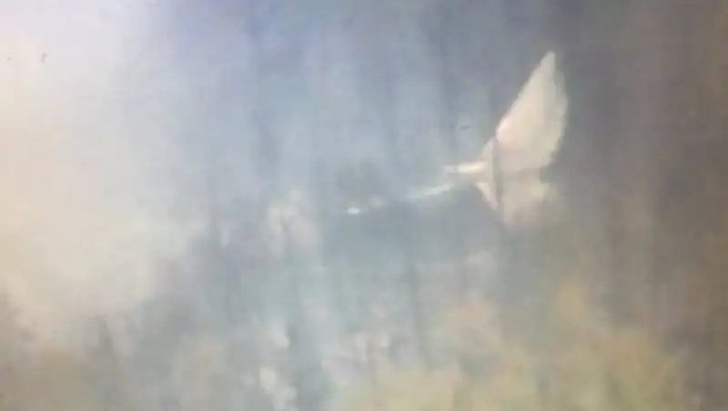 Поисковые работы на месте крушения Ил-76 под Иркутском продолжатся ночью