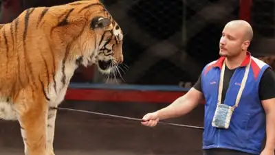 Zakon.kz, фото - Новости Zakon.kz от 17.04.2015 23:40