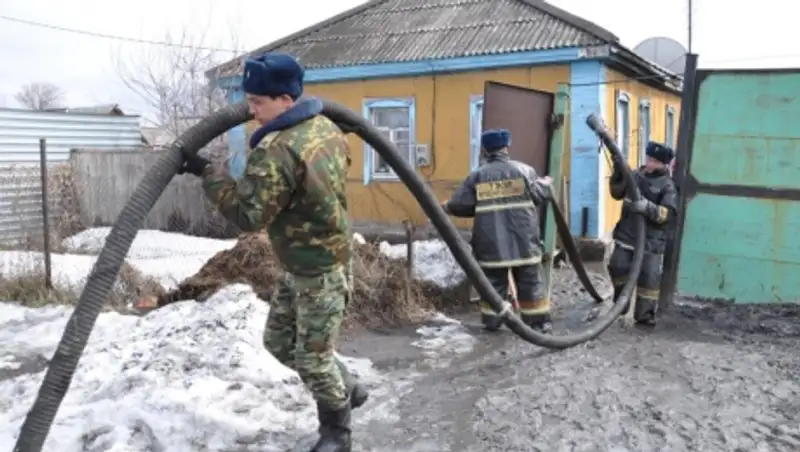 Елімізді&#1187; 5 облысында &#1179;&#1201;т&#1179;ару ж&#1201;мыстары жал&#1171;асып жатыр