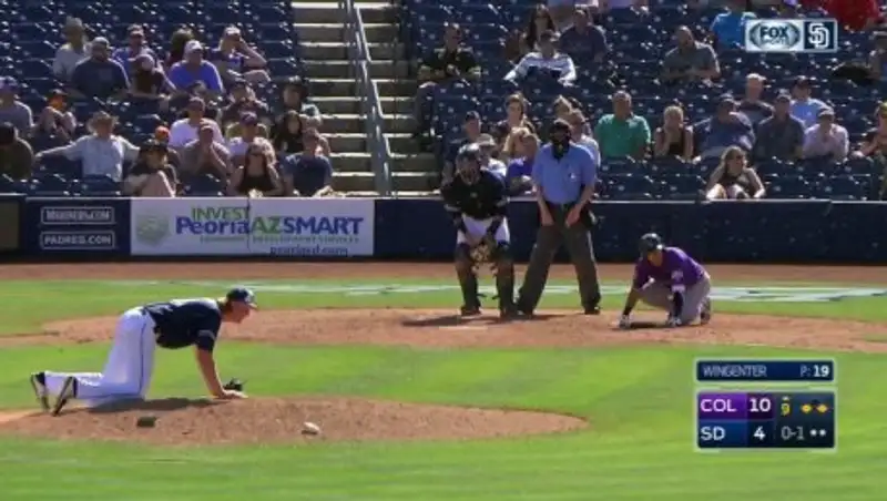 В Америке на судью и спортсменов напал рой диких пчёл