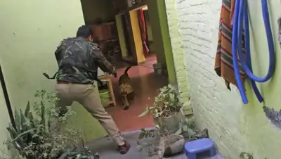 cameralabs.org, фото - Новости Zakon.kz от 31.08.2018 10:50