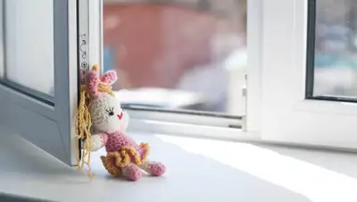 Новости Новосибирска, фото - Новости Zakon.kz от 02.07.2019 18:36