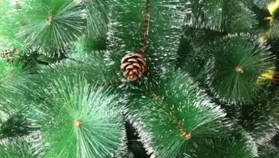 price-altai.ru, фото - Новости Zakon.kz от 08.12.2017 19:51