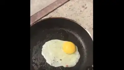 Zakon.kz, фото - Новости Zakon.kz от 19.07.2017 16:15