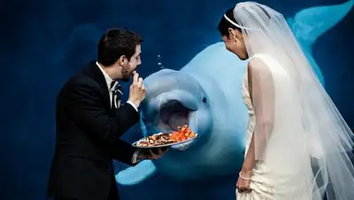 Zakon.kz, фото - Новости Zakon.kz от 21.01.2016 18:37