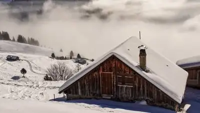 pixabay, фото - Новости Zakon.kz от 28.02.2021 12:39