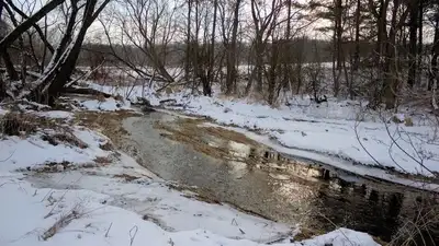 вода, фото - Новости Zakon.kz от 26.03.2023 16:39