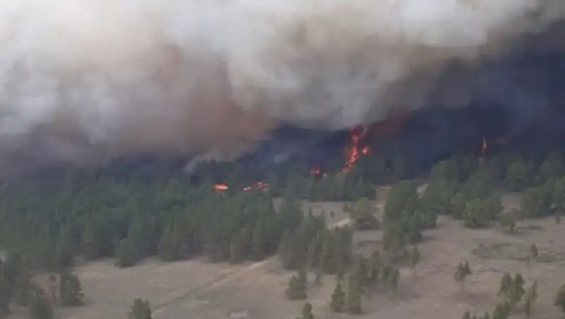 Сосны горят в горах ВКО