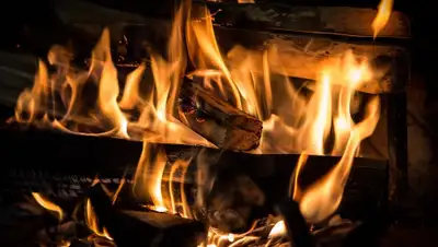 Pixabay, фото - Новости Zakon.kz от 20.10.2019 11:49