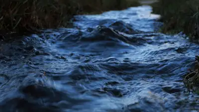 Унесло течением: 4-летнюю девочку третьи сутки ищут в Туркестанской области, фото - Новости Zakon.kz от 20.03.2023 13:37