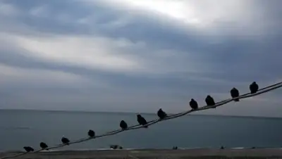 Zakon.kz, фото - Новости Zakon.kz от 13.08.2015 17:41