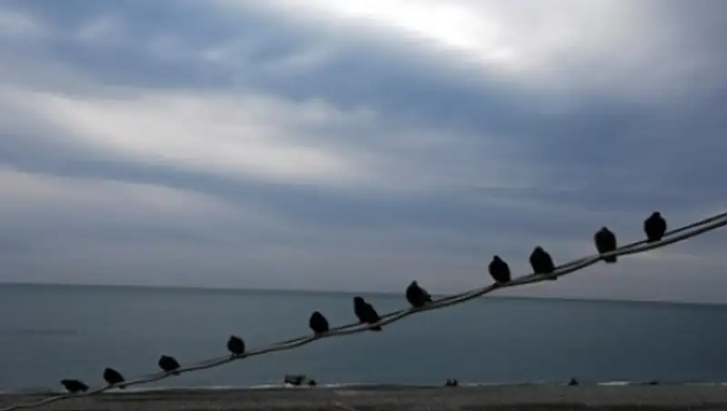 На Сахалин с материка протянут оптоволоконный кабель для интернета