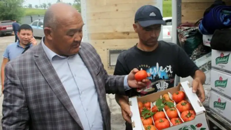 Из ЮКО в Астану отправили 262 тонн овощей