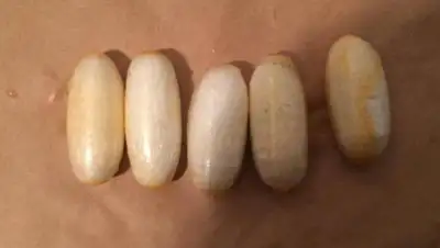 КНБ РК, фото - Новости Zakon.kz от 14.10.2019 12:11