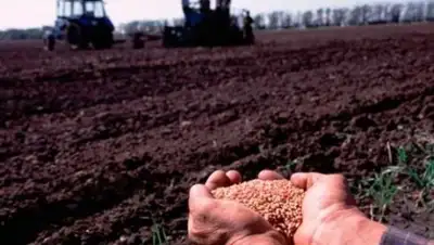 Zakon.kz, фото - Новости Zakon.kz от 03.05.2017 00:07