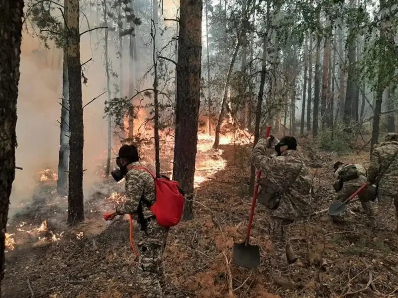 масштабы лесных пожаров в Абайской области, фото - Новости Zakon.kz от 14.06.2023 20:25