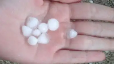 Zakon.kz, фото - Новости Zakon.kz от 04.07.2015 20:35