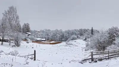 Look My Trips, фото - Новости Zakon.kz от 25.03.2018 20:15