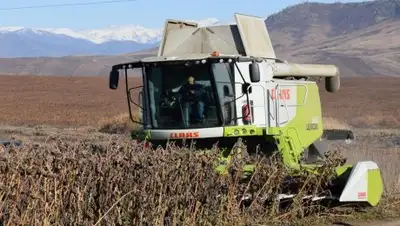 Zakon.kz, фото - Новости Zakon.kz от 14.10.2017 20:10