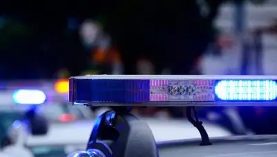 Pixabay, фото - Новости Zakon.kz от 11.12.2019 06:18