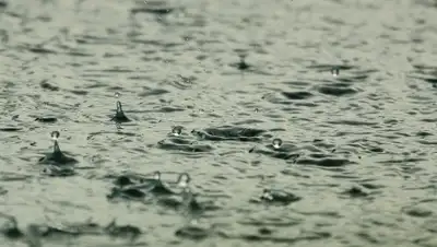 Pixabay, фото - Новости Zakon.kz от 02.07.2019 09:21