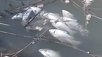 Facebook/Сакен Дилдахмет, фото - Новости Zakon.kz от 10.04.2019 16:33