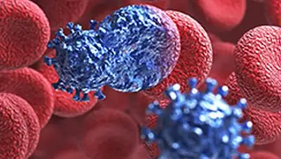 Zakon.kz, фото - Новости Zakon.kz от 21.09.2017 09:23