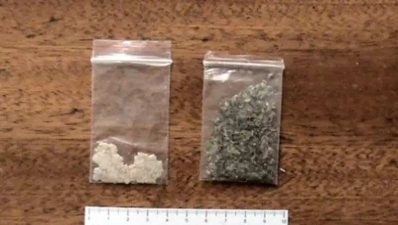 В Талдыкоргане при обыске дома полицейские изъяли около 12 кг наркотиков