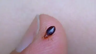 Zakon.kz, фото - Новости Zakon.kz от 01.08.2014 17:21