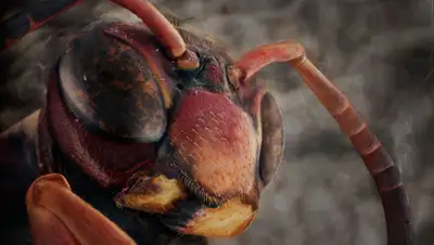 bigpikcha.ru, фото - Новости Zakon.kz от 18.08.2020 11:00