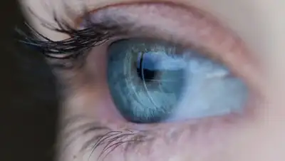 Pixabay, фото - Новости Zakon.kz от 10.04.2019 09:00