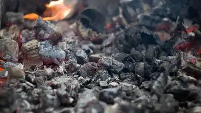 Pixabay, фото - Новости Zakon.kz от 06.10.2020 01:02