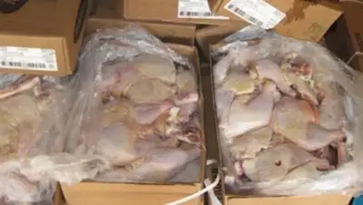 Zakon.kz, фото - Новости Zakon.kz от 22.06.2015 18:32