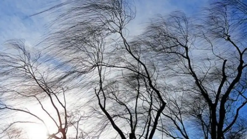 В Костанайской области объявлено штормовое предупреждение